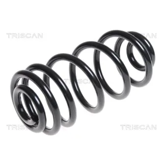 Triscan Feder hinten Opel Insignia Saab 9-5 875024164