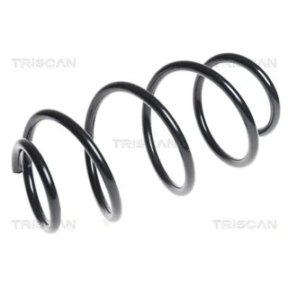 Triscan Feder vorne Hyundai I30 87504383