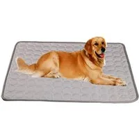 FELIXLEO Hundematte Selbstkühlende Matte für Hunde Katzen Kühlmatte Waschbar 100x70cm