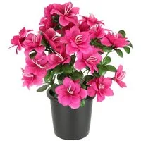 Kunstblume Kunstblume Azaleen im Topf, I.GE.A., Höhe 29 cm, Blume Kunstpflanze Blumendeko Tischdeko Zimmerpflanze