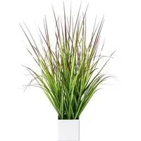 Kunstgras Blutgras, Creativ green, Höhe 61 cm, im weißen Kunststofftopf