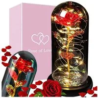 VERK GROUP Geschenkbox Ewige Rose, Blumen im Glas Rose Geschenke für jeden Anlass