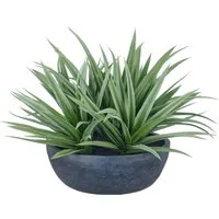 Kunstpflanze Dracaena, Creativ green, Höhe 50 cm, mit naturgetreuem Blattwerk