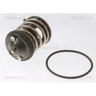 Triscan Thermostat BMW 1er 2er 3er 4er 5er 6er 7er X1 X3 X4 X5 X6