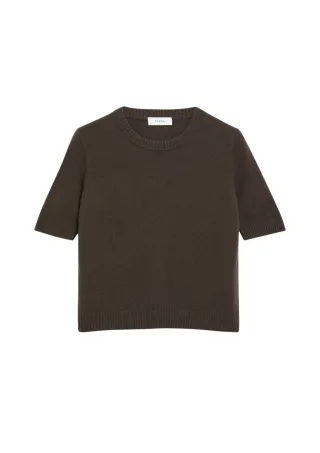 comma - Kurzarm-Strickpullover braun - Gr. - 38