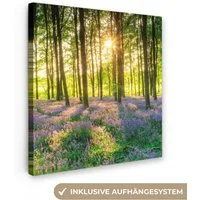 OneMillionCanvasses® Leinwandbild Frühling - Wald - Sonne, Fotodruck (1 St), Wandbild, Deko Schlafzimmer Wohnzimmer Flur 20x20 cm