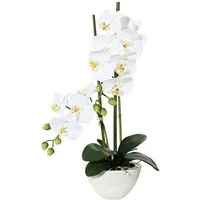 Kunstpflanze Orchidee Orchidee, Creativ green