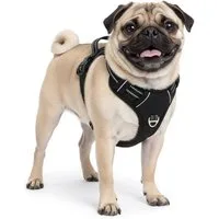 Reichstadt Hunde-Geschirr RS Pets Norwegergeschirr 25RSP083, Polyester, atmungsaktives Netzgewebe und robuster Oxford-Stoff