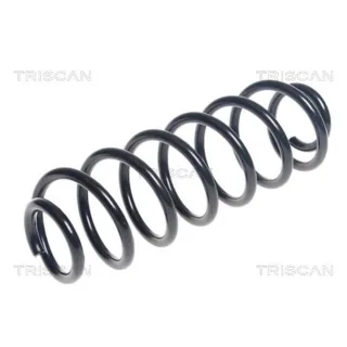 Triscan Feder hinten Ford B-Max
