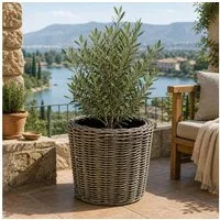 Van der Leeden Blumentopf 46x44cm Rattan Weide Sylter Korb Drypot 33L (Stück, 1 St., Packung), Indoor & Outdoor, Rattan, 33 L, Naturprodukt, incl. Kunststoffeimer
