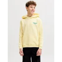 Jack & Jones Junior Kapuzensweatshirt JORNORREBRO TYPO BACK SWEAT HOOD SN JNR Baumwollmischung, relaxed fit, Langarm