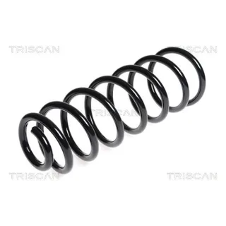 Triscan Feder hinten 875028165 Citroen Jumpy Peugeot Expert Toyota Proace