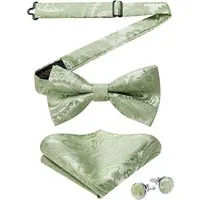 LuxusKollektion Fliege Fliege Herren Paisley Einstecktuch Manschettenknöpfe Set A-salbei Grün