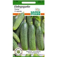 SAMEN PFANN Gemüsesamen Einlegegurke, Conny F1 - Gurken-Samen Saatgut Samen, Cucumis sativus