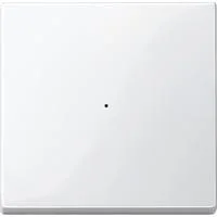 Wippe für Tastermodul einfach, Typ 619119, Thermoplast glänzend, System M weiß (glänzend), Retail