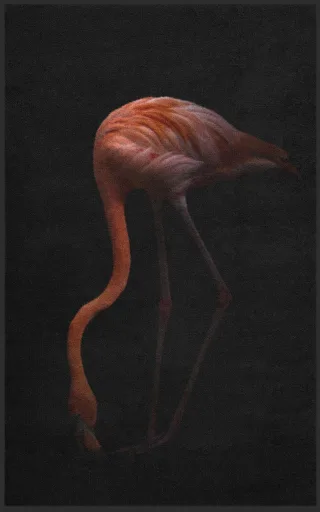 Fussmatte Flamingo 7260 | Größe: 60 cm x 90 cm