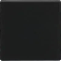 Wippe matt für Ausschalter, Wechselschalter, Kreuzschalter und Taster Typ 1786-885 schwarz (matt), Retail