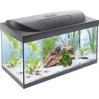 Tetra Aquarien-Set Tetra Aquarium-Komplettset LED Starter Line 54 L