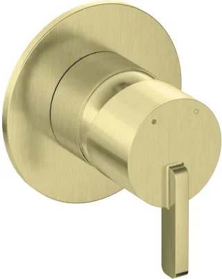 Neuesbad Serie 600 Brausearmatur Unterputz, Oberfläche: gold gebürstet NB1BQS_R44L1