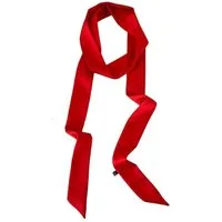 Zaewry Seidenschal Seidiger Satin-Schal,Gürtel, Band, Haar- und Stirnband für Damen, 4 cm x 180 cm,leichter Damen-Schal, alljährig,einfarbiger Schal