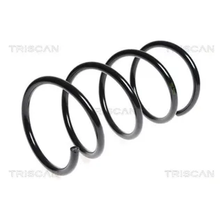 Triscan Feder vorne Kia Carens 2,0 87501839