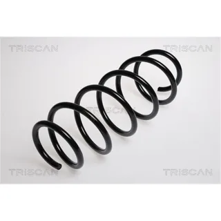 Triscan Feder vorne Seat Ibiza Skoda Fabia Roomster
