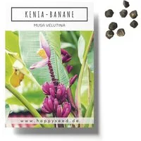 HappySeed Blumensamen Kenia Bananen Samen (Musa velutina) - Exotische rosa Zwergbanane, Blumen