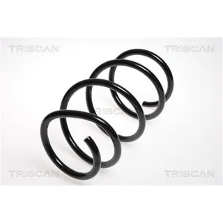 Triscan Feder vorne BMW 5er E60 87501176