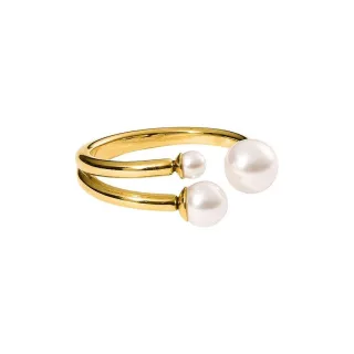 Purelei Edelstahlring Core Collection 23161-Ring-Finesse-Gold-56
