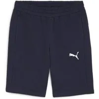 PUMA Trainingsshorts Puma Herren Short teamGOAL Casuals Shorts 658608