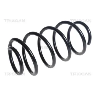 Triscan Feder vorne Ford Focus 3