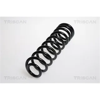 Triscan Feder hinten Mercedes Vaneo