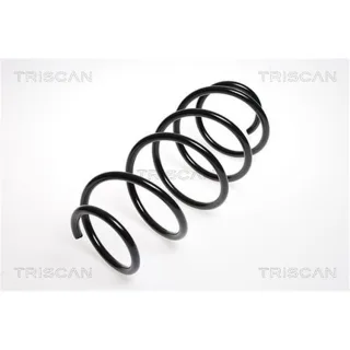 Triscan Feder vorne Citroen C2 1,4
