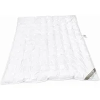 Betten Hofmann Daunenbettdecke Betten Hofmann Sommerdecke Daunendecke Punktstepp 155x220 cm 100%, Füllung: 100% Daunen, Bezug: 100% Baumwolle, für den Sommer, hergestellt in Deutschland, allergikerfreundlich