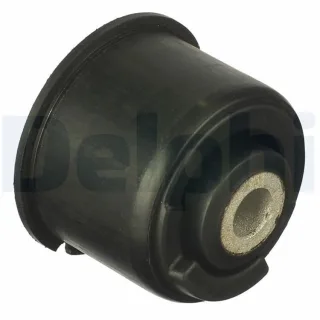 Delphi Achsk?rperlager hinten Fiat 500