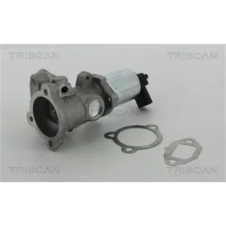 Triscan AGR-Ventil Fiat 500 Idea Ford Ka Lancia Musa 1,3