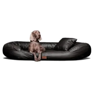 Tierlando Orthopädisches Hundebett LENNART VISCO PLUS Kunstleder schwarz 1,4 m, 30 cm, 1,05 m