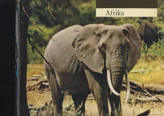 Afrika