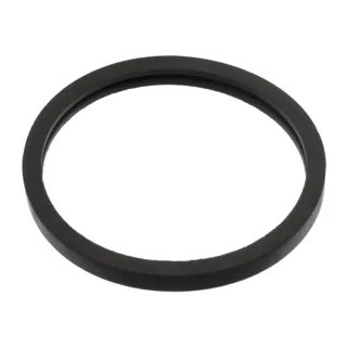 Febi Dichtung f?r Thermostat Chevrolet Dawwoo Fiat Opel