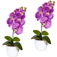 Kunstpflanze Orchidee Phalaenopsis Orchidee, Creativ green, Höhe 40 cm, im Keramiktopf