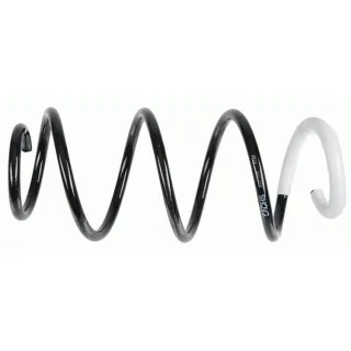 Sachs Feder vorne Renault Clio Modus 993246