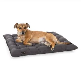 Doctor Bark Pointer Urban Kissen grau XXL
