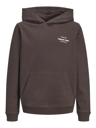 JACK&JONES - JORNORREBRO TYPO BACK SWEAT HOOD SN JNR Braun - Gr. - 152
