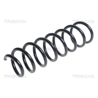 Triscan Feder hinten BMW 5er F10 875011153
