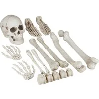 relaxdays Dekoobjekt Dekoknochen für Halloween