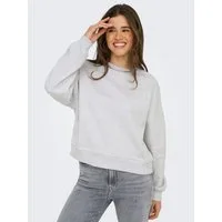 ONLY Sweatshirt ONLDAZE L/S CREW NECK SWT NOOS