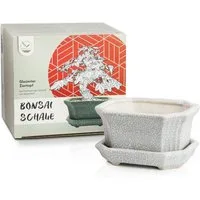 HappySeed Pflanzschale Bonsai Schale aus Keramik mit Untersetzer in Grau - 11 x 6,5 x 9 cm