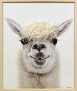 Leinwandbild LAMA YOUNGSTER