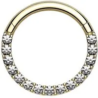 Taffstyle Nasenpiercing Piercing Nase Ohr Segment Ring Scharnier Kristalle, Clicker Glitzer Kristall Septum Tragus Helix Lippe Nasenring Knorpel