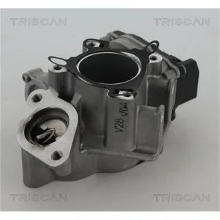Triscan AGR-Ventil Nissan Opel Renault 881324039